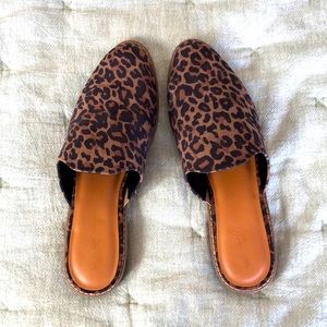 Leopard Mules